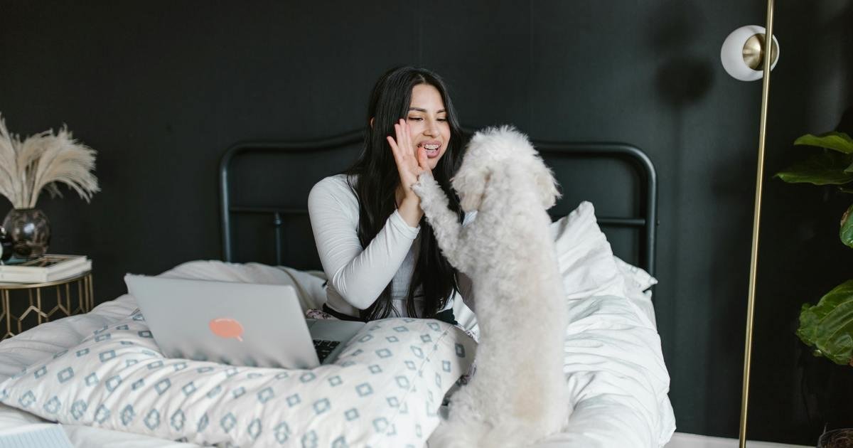 Best Online Dog Training: Choose by Goals, Feedback and Format